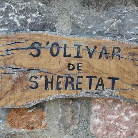 Olivar De S'heretat Trekking/ruta Gr-221 Apartment *