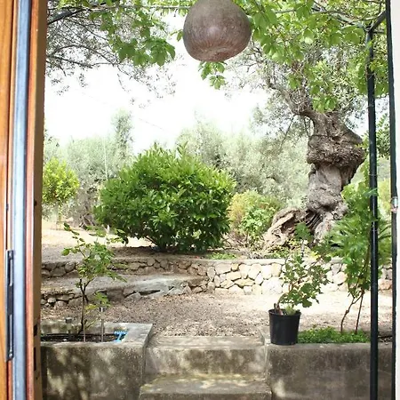 Olivar De S'heretat Trekking/ruta Gr-221 Apartment *